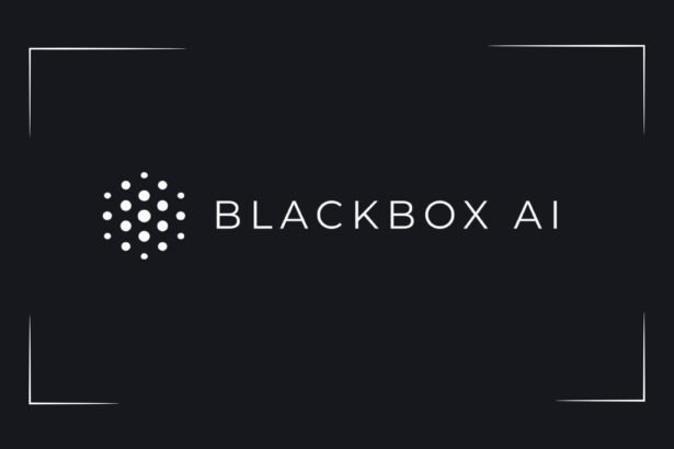 Black Box AI