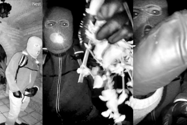 Blockchain transaction tracking interface on computer screen