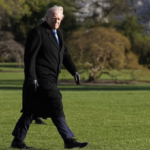 TACO trade Google Trends spike chart showing sudden search increase