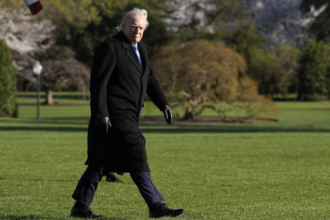 TACO trade Google Trends spike chart showing sudden search increase