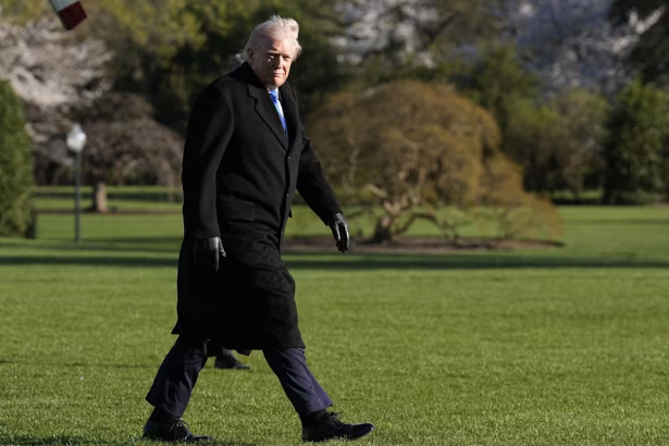 TACO trade Google Trends spike chart showing sudden search increase