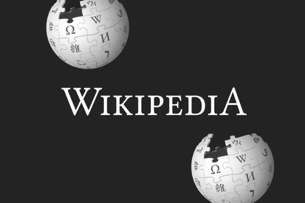 Wikipedia AI article ban digital globe and AI network concept