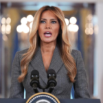 Melania Trump Epstein statement public reaction
