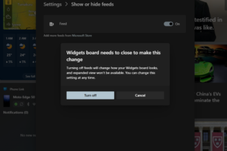 Microsoft MSN feed Windows widgets disabled view