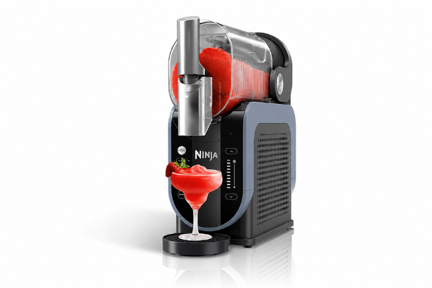 best slushie machines 2026 Ninja SLUSHi FS301 best overall