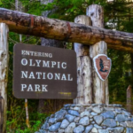 Olympic National Park remains identified Sol Duc River backcountry Washington 2000 discovery