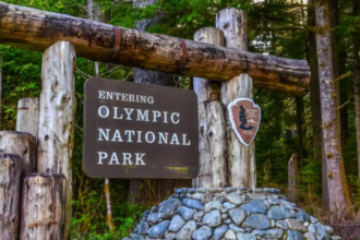 Olympic National Park remains identified Sol Duc River backcountry Washington 2000 discovery