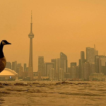 Canadian wildfire smoke air quality 2026 Toronto orange sky CN Tower world worst AQI 184