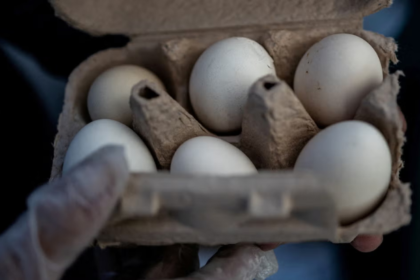 egg recall salmonella 2026 Kroger Brookshires Midwest Poultry Services carton