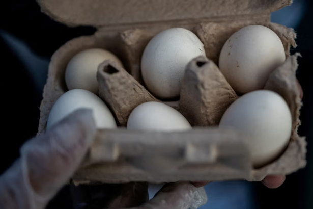 egg recall salmonella 2026 Kroger Brookshires Midwest Poultry Services carton