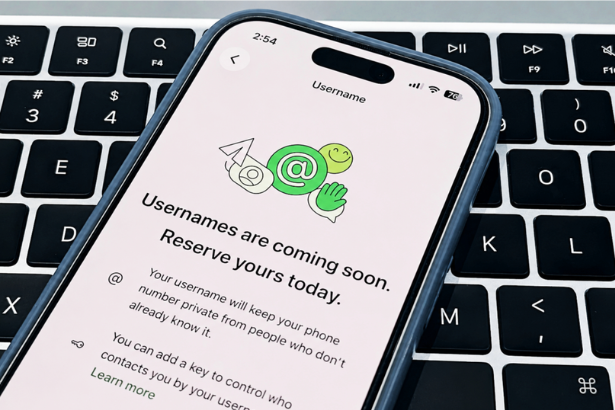 WhatsApp Username Risks illustration showing a fake WhatsApp username, impersonation warning, identity theft, and cybersecurity protection concepts.