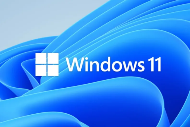 Windows 11 Weather app RAM - Task Manager high memory usage