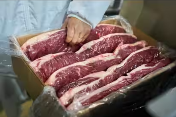 USDA Argentine beef recall affecting raw beef sold in Texas and Florida