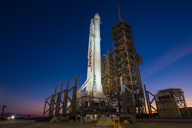 SpaceX stock SPCX market reaction after quarterly earnings